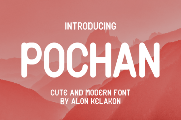 How Pochan Elevated My Brand Identity with a Bold Sans Serif Typeface