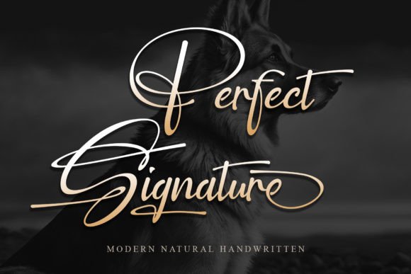 Perfect Signature: Elevating Web Design with an Elegant Handwritten Typeface