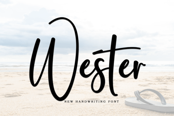 Wester: The Modern Script Typeface for Polished Branding